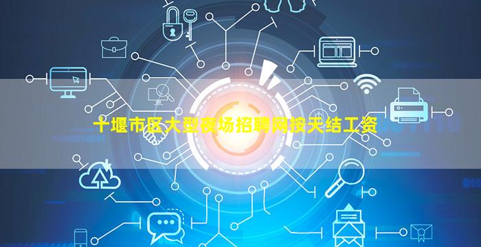 十堰市区大型夜场招聘网按天结工资